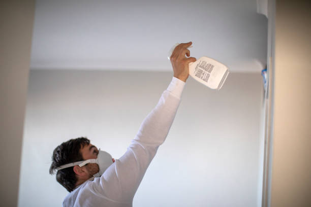 Attic Mold Removal in Pembroke Park, FL